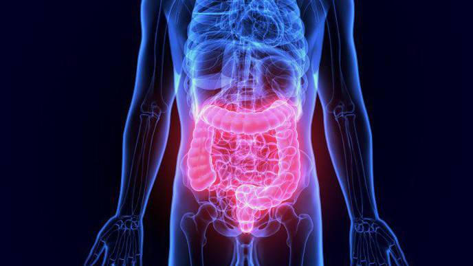 'Dead' Probiotic Treatment May Help Reduce Irritable Bowel Symptoms