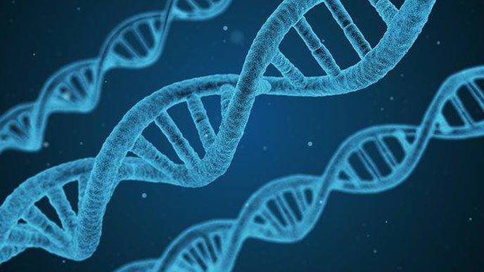 Tackling COVID-19: Ongoing Drug Development Efforts