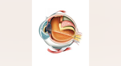 Part 2 Episode 1 Expert Insights Into Surgical Fundamentals Tips for Retinal Detachment Surgery and Hyaloid Elevation