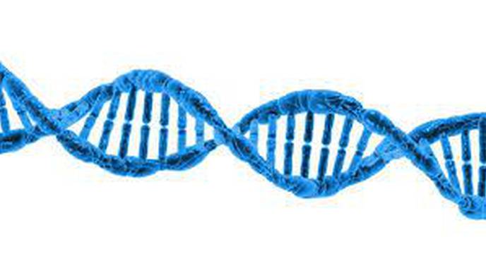 Genome Study Links DNA Changes to the Risks of Specific Breast Cancer Subtypes