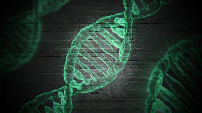 Innovative Gene Therapy 'Reprograms' Cells to Reverse Neurological Deficiencies