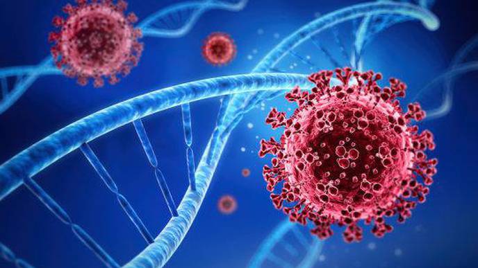 Pinpointing the 'Silent' Mutations That Gave the Coronavirus an Evolutionary Edge
