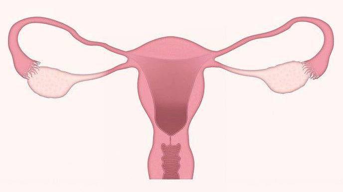 NIH Spearheads Study to Test At-Home Screening for HPV & Cervical Cancer