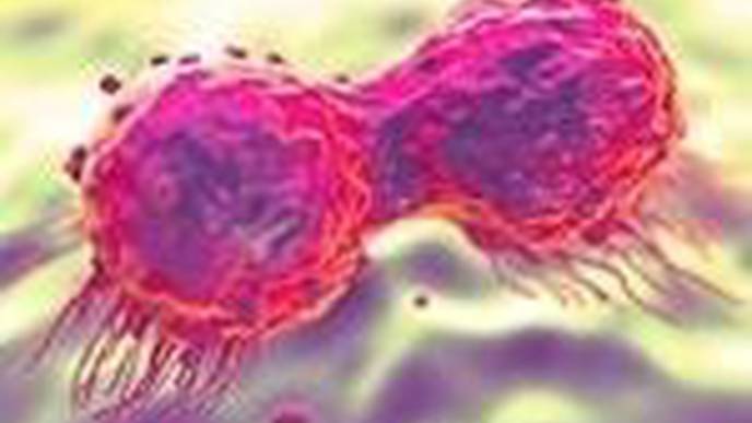 ReachMD Healthcare Image