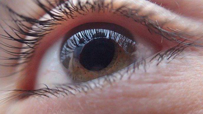 New Research May Revolutionize Cataract Treatment