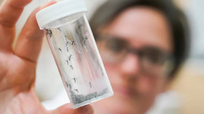 Mosquito Season Renews Concerns About Rare But Deadly EEE Virus