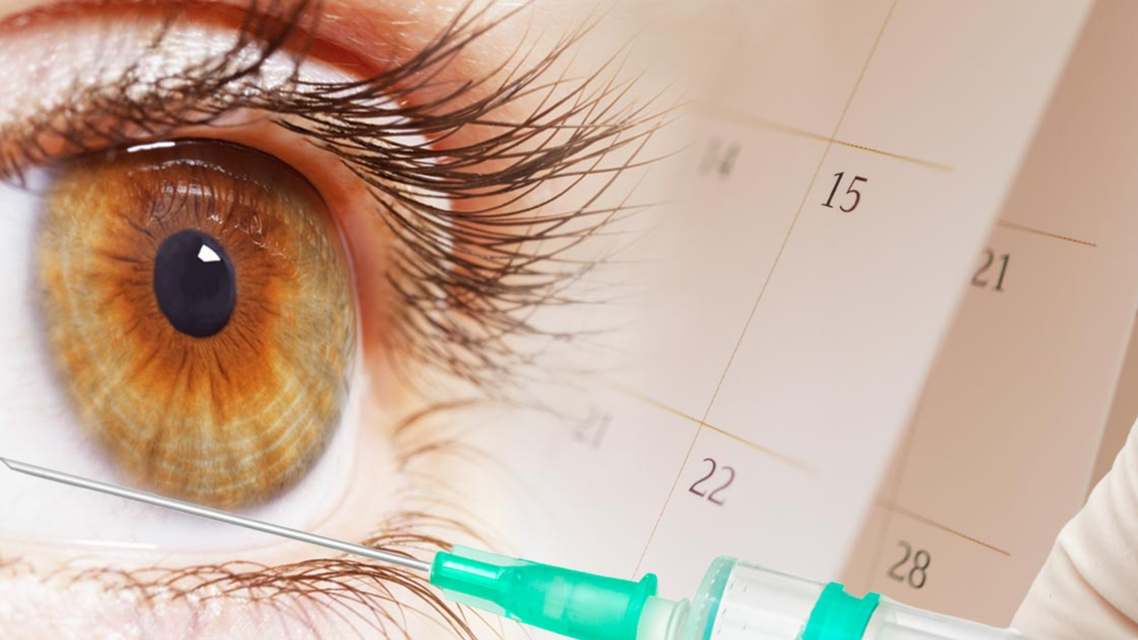 Evolve Website Image