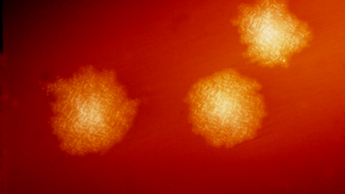 ReachMD Healthcare Image
