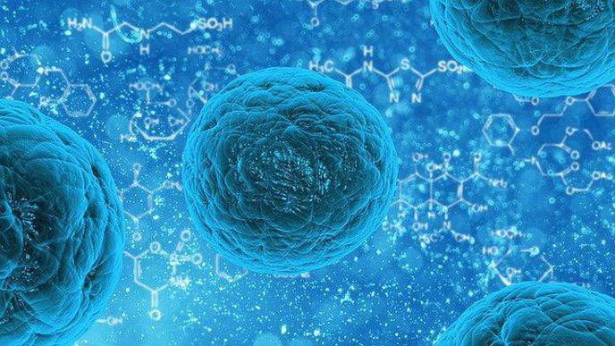 Population Density & Virus Strains Will Affect How Regions Can Resume Normal Life