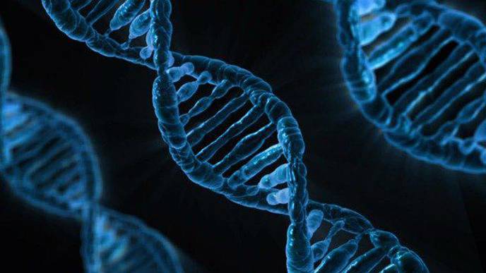 New Gene Expression Network Can Help Understand Mechanism Behind Continuous Stem Cell Activity in Plant