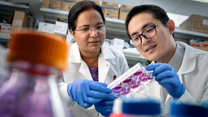 Discovering the Secrets of the Enigmatic Caspase-6