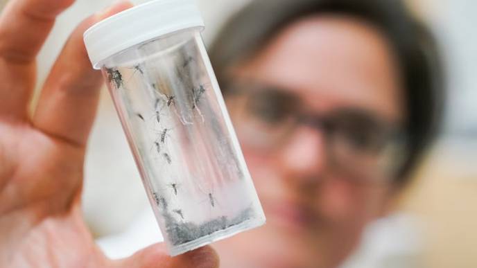 Mosquito Season Renews Concerns About Rare But Deadly EEE Virus
