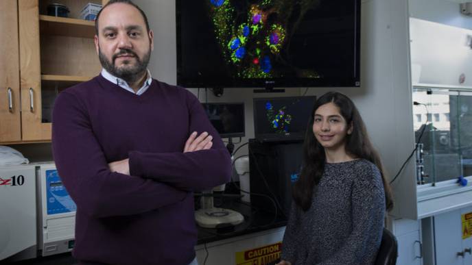 Procedure Could Unlock Cures for Heart Disease, Cancer, & Neurodegenerative Disorders