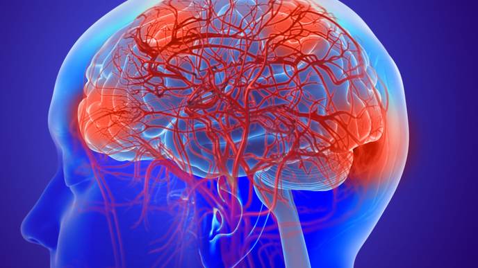 ReachMD Healthcare Image