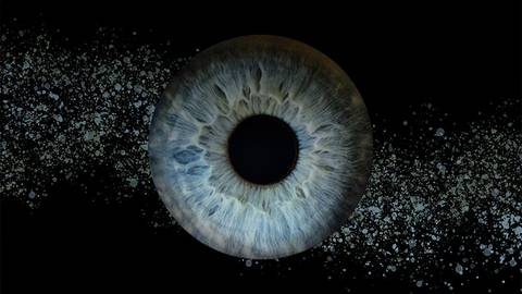 Diabetic Eye Disease Pipeline Therapies Part 3: Brolucizumab & PDS
