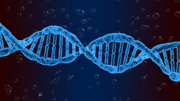 Spatial Mapping Method Pinpoints Potential New Therapeutic Targets in Lupus