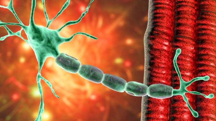 ReachMD Healthcare Image