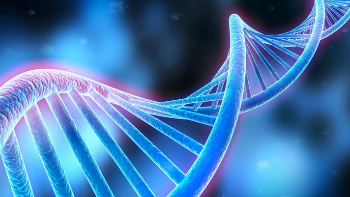 New DNA Sequencing Technique May Help Unravel Genetic Diversity of Cancer Tumors