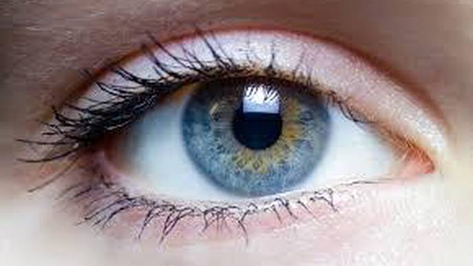 Scientists Rescue Mini Retinas from Eye Disease Via New Gene Therapy Approach