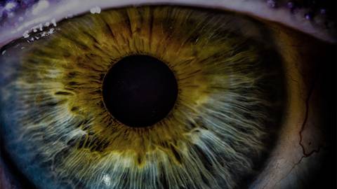 Wet AMD Pipeline Therapies Part 3: KSI-301 and GB-102