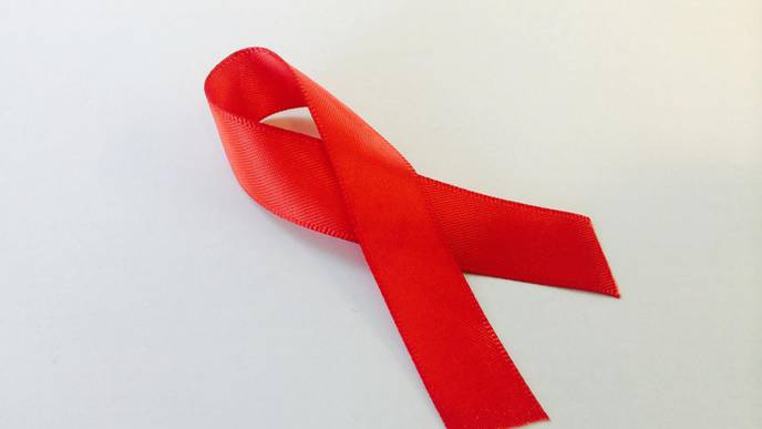 Most Kidney Transplants Between People with HIV Have Long-Term Success