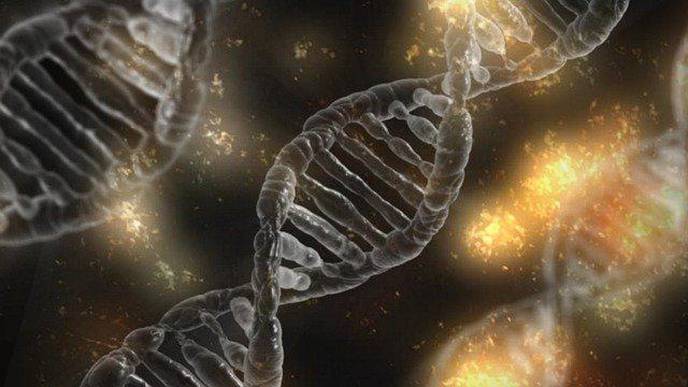 Genes Hold Key to Heart Disease Prevalence in Africa