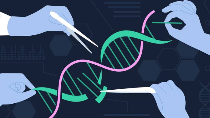 ReachMD Healthcare Image