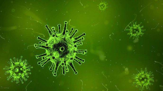 New Approach to Reducing Spread of Mosquito-Borne Diseases