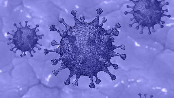 Naturally Selected Mutations of SARS-CoV-2 Easily Duplicated in Vitro