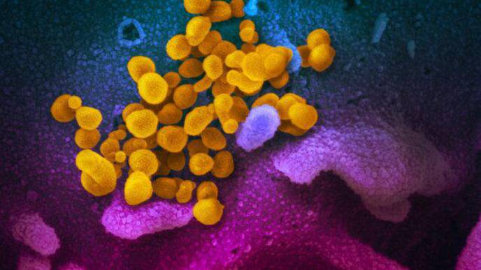 New Study Sheds Light on IBD Patients with COVID-19