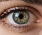 Retinal AI benchmark finds compact pretrained models outperform