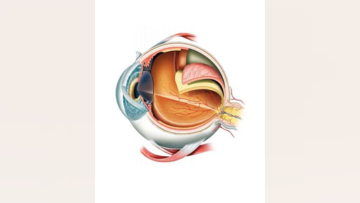 Part 2 Episode 1  Expert Insights Into Surgical Fundamentals Tips for Retinal Detachment Surgery and Hyaloid Elevation