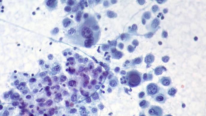 ReachMD Healthcare Image
