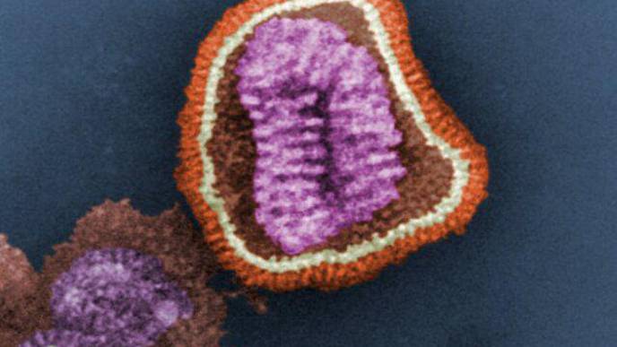Vulnerability for At-Risk Populations Identified in US Influenza Data