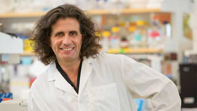 Susceptibility to Carcinogens Varies Due to Genetics