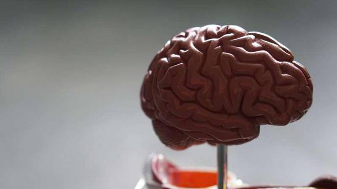 How Does Your Brain Process Emotions? Answer Could Help Address Loneliness Epidemic