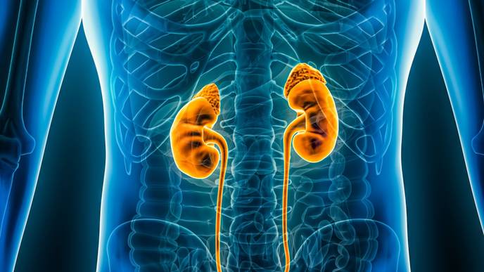 ReachMD Healthcare Image