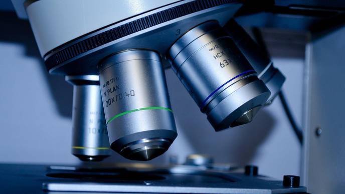 Coronavirus Research: Breakneck Speed Lets Bad Science Get Through