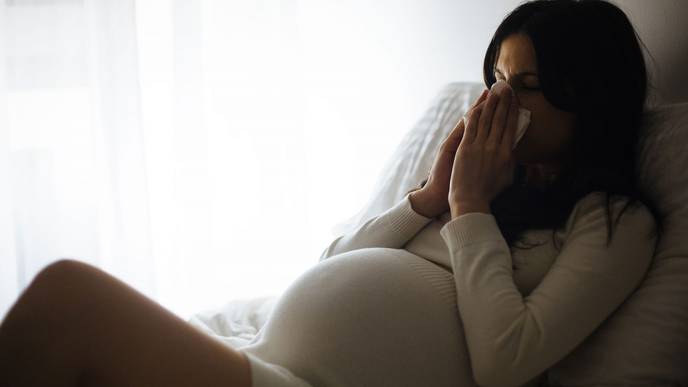 New Study Reveals Why Flu Can Be Devastating for Pregnant Patients