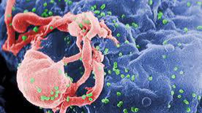 Researchers Show New Adjuvant Successful in Extending Immunity Against HIV