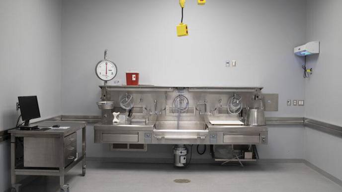 Coronavirus Autopsies: A Story of 38 Brains, 87 Lungs, and 42 Hearts