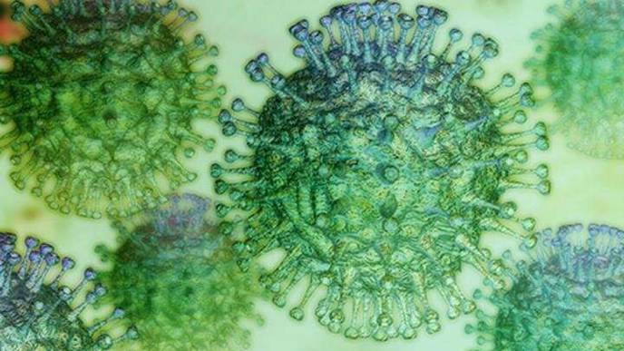 Common Coronaviruses Highly Seasonal & Transmit Similarly to Influenza