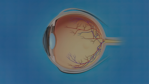 Advances in Glaucoma Treatment: Novel Topical Therapies