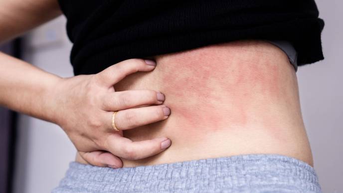 ReachMD Healthcare Image