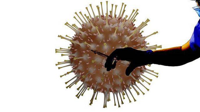Response to Infection Therapy Better Understood Thanks to a New Technique
