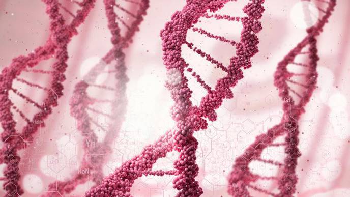 Scientists Discover Gene That Increases Risk of Alzheimer’s Disease