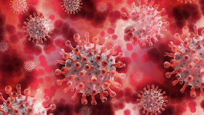 People's 'Microbiomes' Might Influence COVID-19 Severity