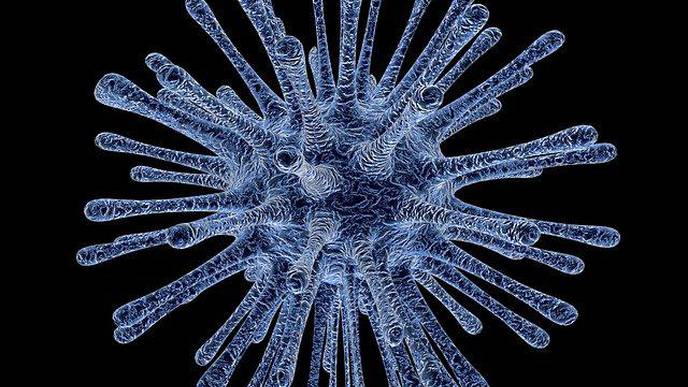 Malaria Parasite Ticks to Its Own Internal Clock