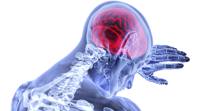 Study Examines the Benefits of Virtual Stroke Rehabilitation Programs