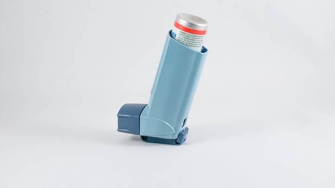 A Plant-Based Diet Helps to Prevent & Manage Asthma, According to New Review